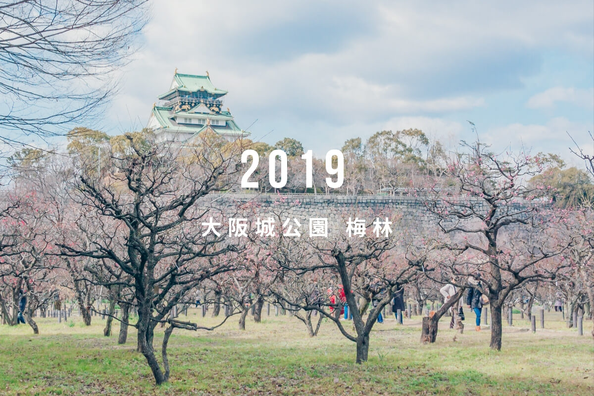 大阪城公園 梅林で春を撮り歩く 19年の見頃は2月末から 日常写飯事